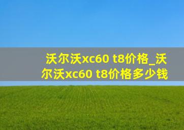 沃尔沃xc60 t8价格_沃尔沃xc60 t8价格多少钱